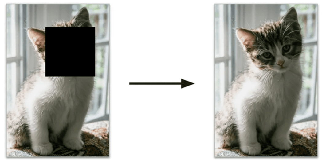 Figure 4: Self-supervised learning example